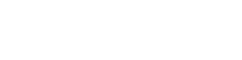 Ankit Main logo