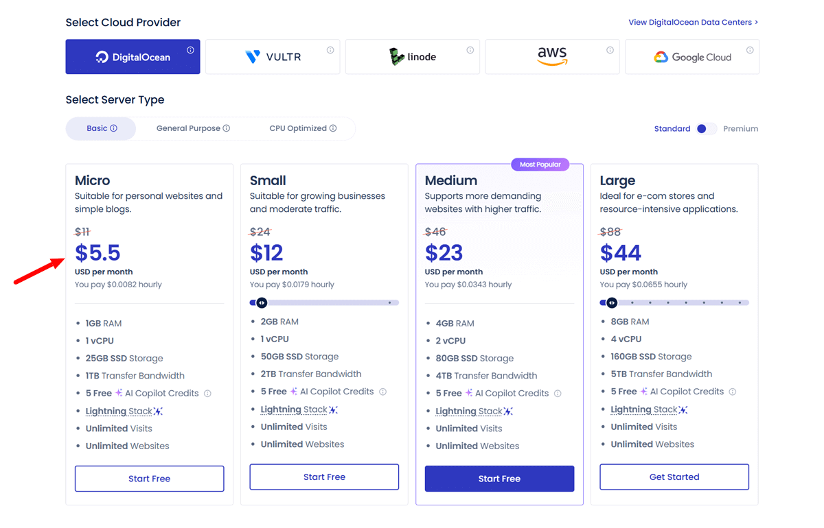 Cloudways Black Friday Pricing Plans 2025