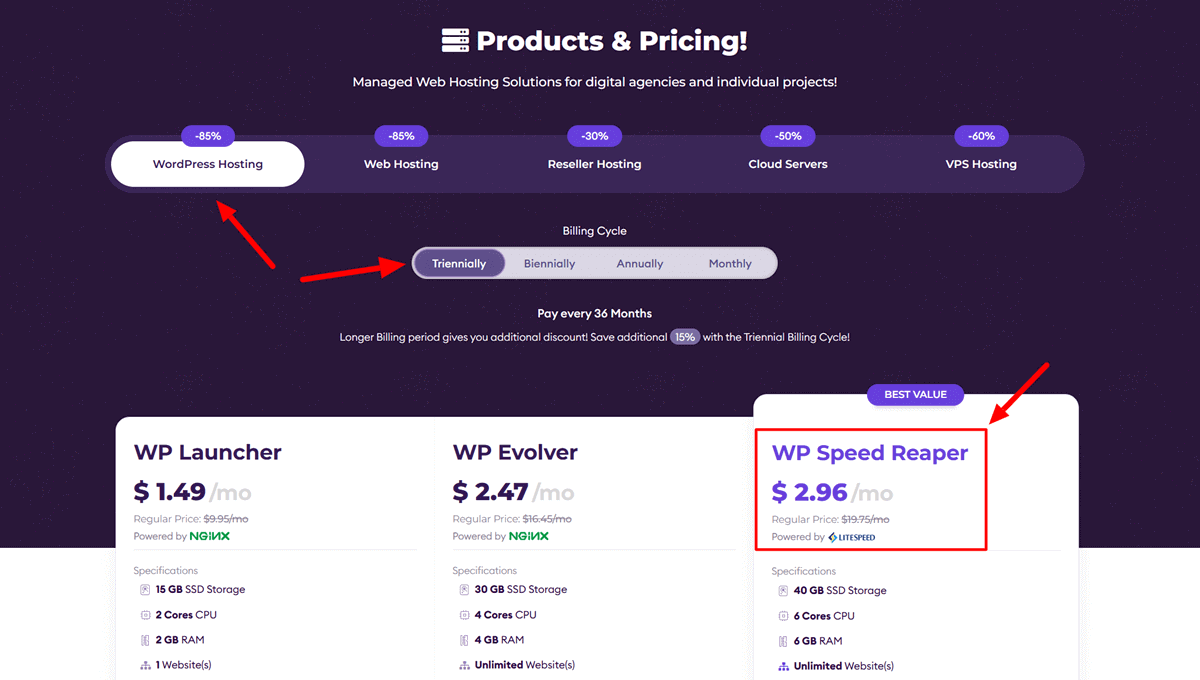 HostArmada Black Friday Deals 2025 Select Your Billing Cycle