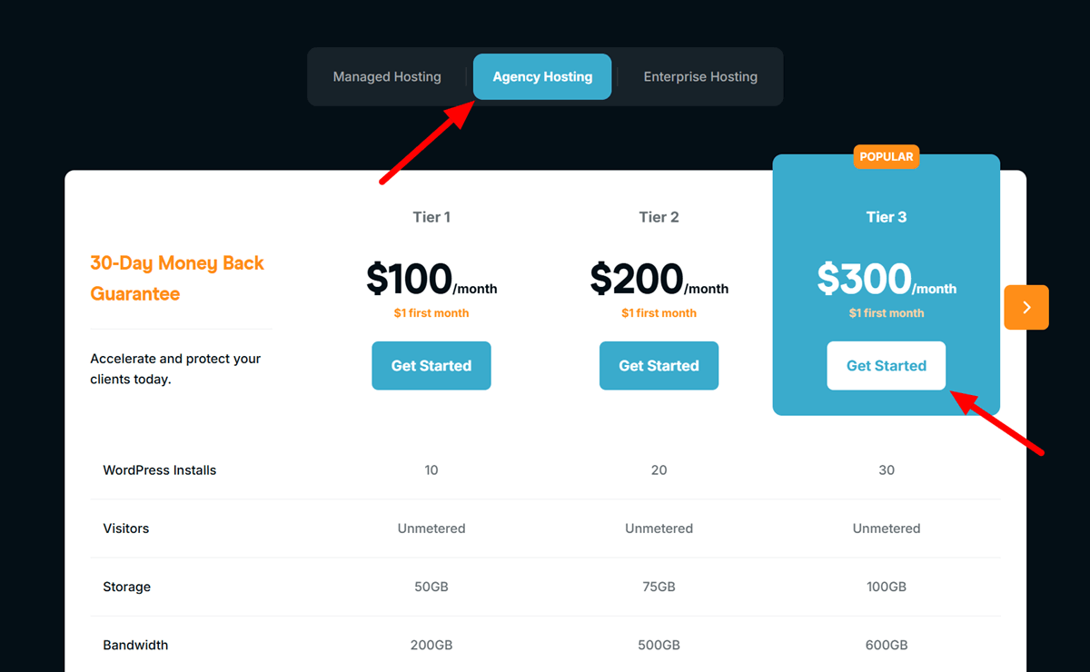 Rocket.net Black Friday Agency Hosting Pricing
