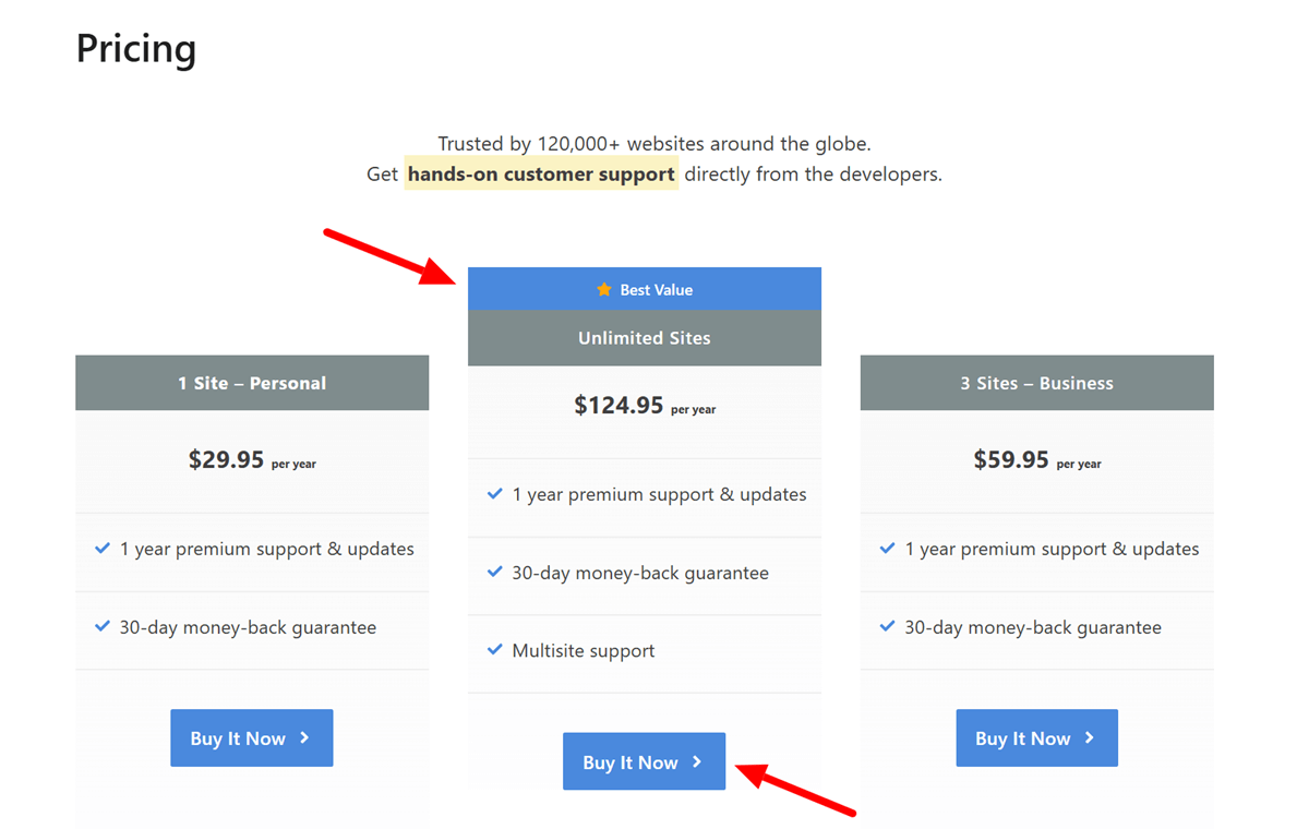 Perfmatters Black Friday Sale Choose A Suitable Pricing Plan