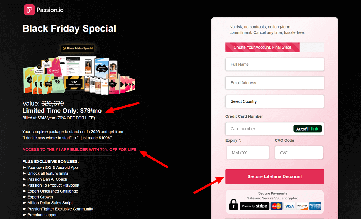 Passion Black Friday Sale 2025 Checkout Page Secure Lifetime Discount